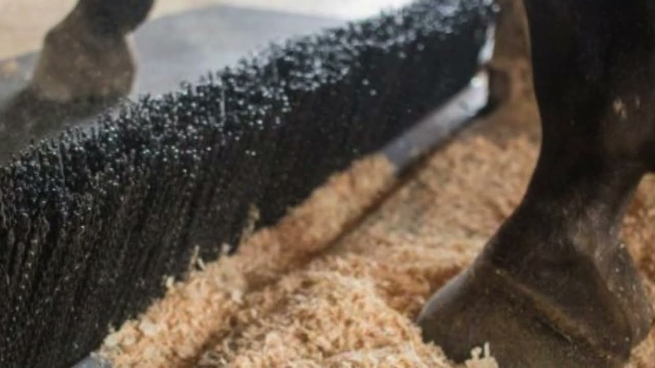 Bedding Blocker for Horse Stall Fronts | American Stalls