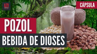 El pozol chiapaneco. Bebida de dioses. #pozol #cacao #chiapas #mexico