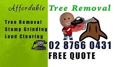 Tree Removal Blacktown | PH 02 8766 0431 | Tree Lopping & Stump Grinding in Blacktown