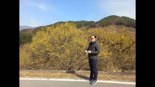 연락 주십시요 세상에 하나남은 순수 품절남 누나를 기다립니다