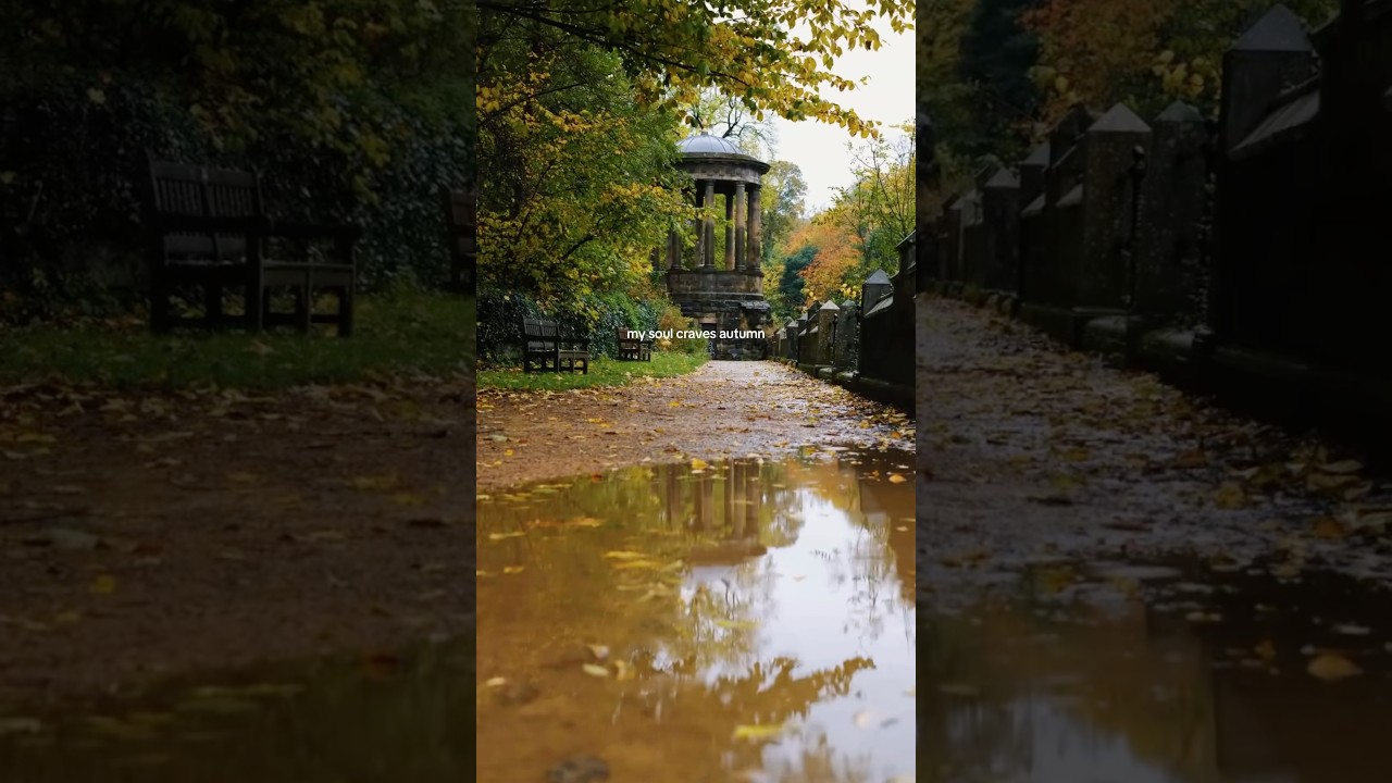 any fellow autumn souls? 🍂 