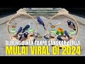 MULAI VIRAL DI TAHUN 2024 ! PENJUAL BURUNG JINAK TANPA SANGKAR JERUJI