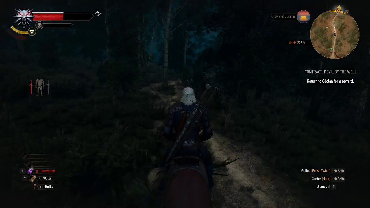 The Witcher 3 : Haunted Well