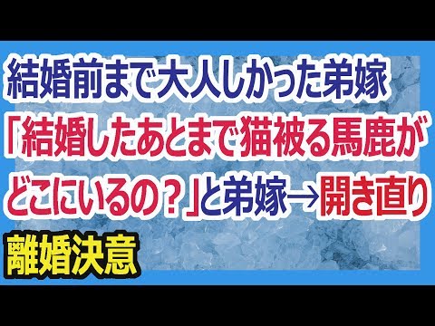 【離婚修羅場】結婚前まで大人しかった弟嫁→「結婚したあとまで猫被る馬鹿がどこにいるの？」と弟嫁→開き直り離婚決意