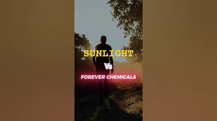 Can Sunlight destroy Forever Chemicals? ☀️