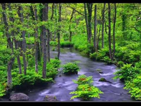 大地讃頌  厚地合唱団  2013年12月28日  栃木県総合文化センターサブホール
