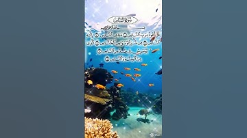 تلاوة خاشعة #سورة الناس #تملأ القلب بالسكينة 🌿✨#short#coran#