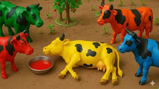 TOY WALKING AMAZING COW 🐄🐮 WADIDAU‼️PROSES POTONG SAPI KURBAN SIMOLASI, Eid al-adha