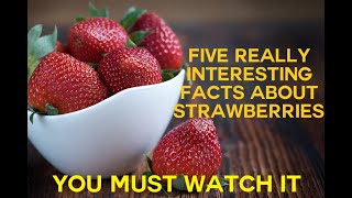 Five facts about strawberries. Do you enjoy random fun facts? Do watch for 5 interesting facts.