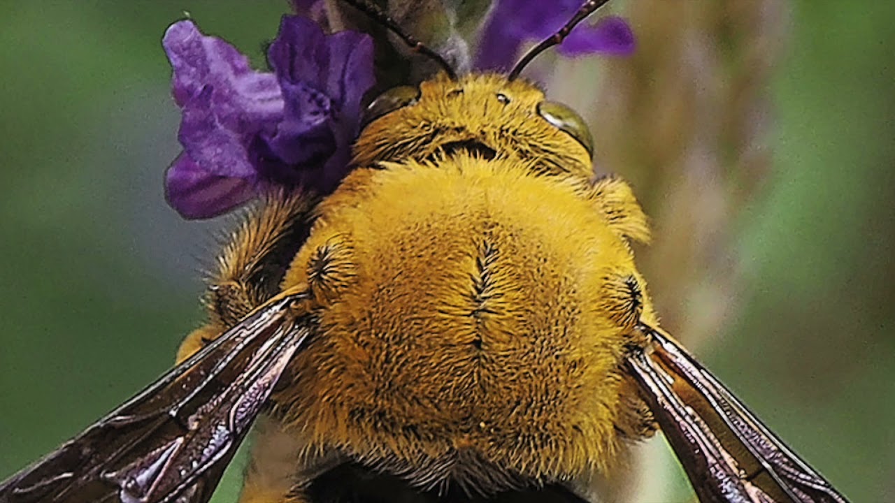 Winter to Spring   The great escape day 2