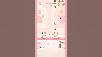 Japanese Bobtail Cat and  Maneki Cat singing 🎶🍫#catgames #duetcats