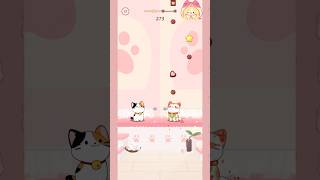 Japanese Bobtail Cat And Maneki Cat Singing 🎶🍫