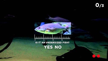 Spear fishing gamification test