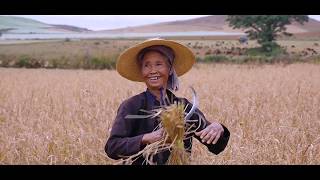 Visit Myanmar and be enchanted