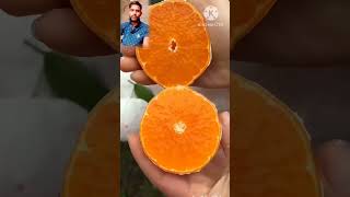 #bengali #shortvideo #apple #fruit #viralvideo