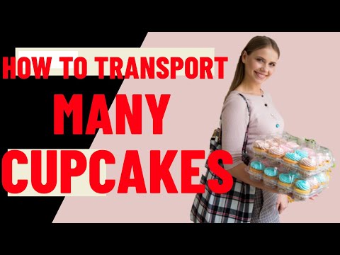 Cupcake Transport Container - Cupcake Packaging Ideas