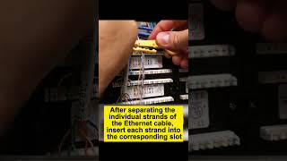 How To Punch The Patch Panels In The Most Correct Way?