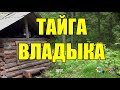 АМБА | ТАЕЖНЫЙ ВЛАДЫКА | ТАЙГА