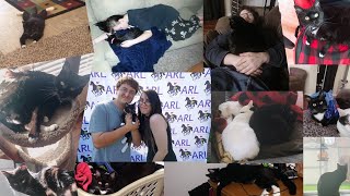 Emergency Fundraiser Stream