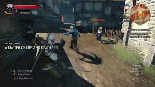 The VVitcher 3