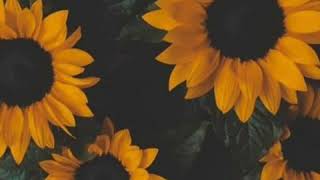 Download Lagu Selamat malam-Evie Tamala(Cover Cardova_aa) MP3