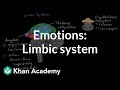 Emotions limbic system  processing the environment  mcat  khan academy