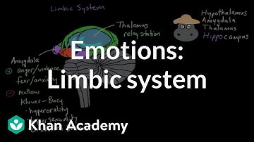 Emotions: limbic system | Processing the Environment | MCAT | Khan Academy