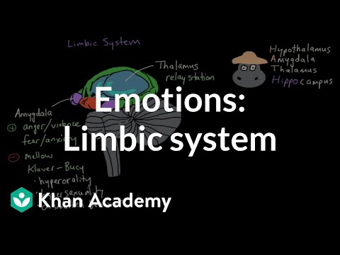 Emotions: limbic system | Processing the Environment | MCAT | Khan Academy