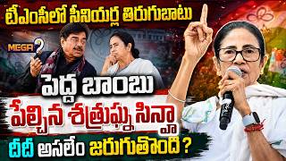 నా పోరాటం దీదీ కోసమే..! | Shatrughan Sinha Clears Air on Rumours of Quitting TMC Amid Party Rift Buz