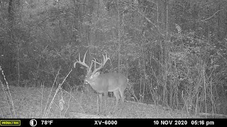 G2! 5 year story of a 10 1/2 year old deer. Central Arkansas