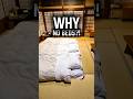 Why Do Japanese People Sleep on the Floor? 🇯🇵