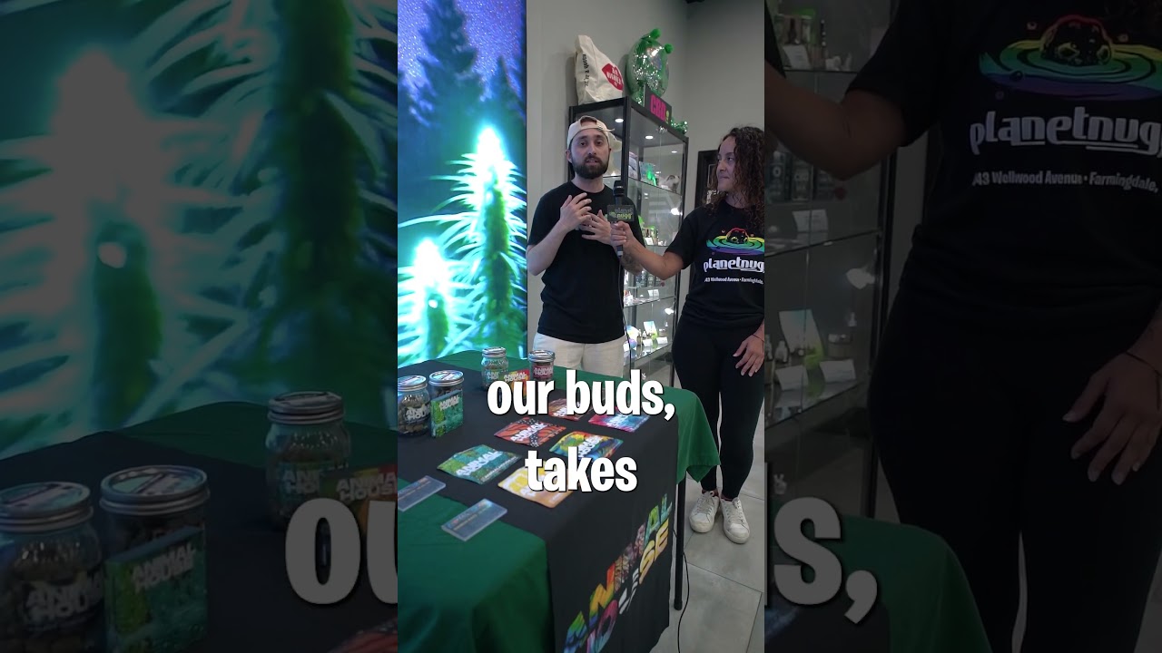 Animal House At Planet Nugg