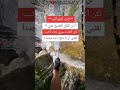 عمري مراح اثيق في أحد 