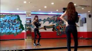 T-ara-I go crazy because of you(dance tutorial part3).flv
