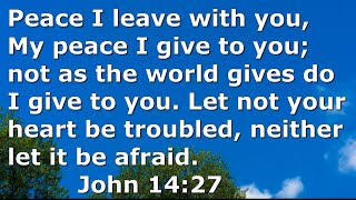 PEACE - Bible Verses - with instrumental music and scenery video screenshot 3