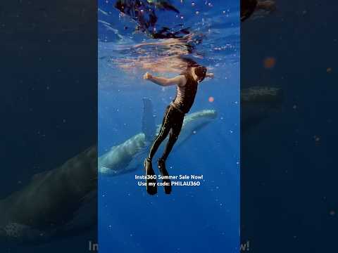 Singing Whales with @insta360 Ace Pro 2 #insta360 #insta360acepro2