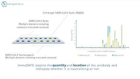 ImmuSAFE COVID+ Biochip Test