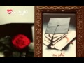 عثمان حسين انا والنجم والمساء 