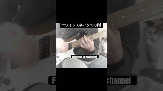 #whitesnake #hardrock #guitarcover