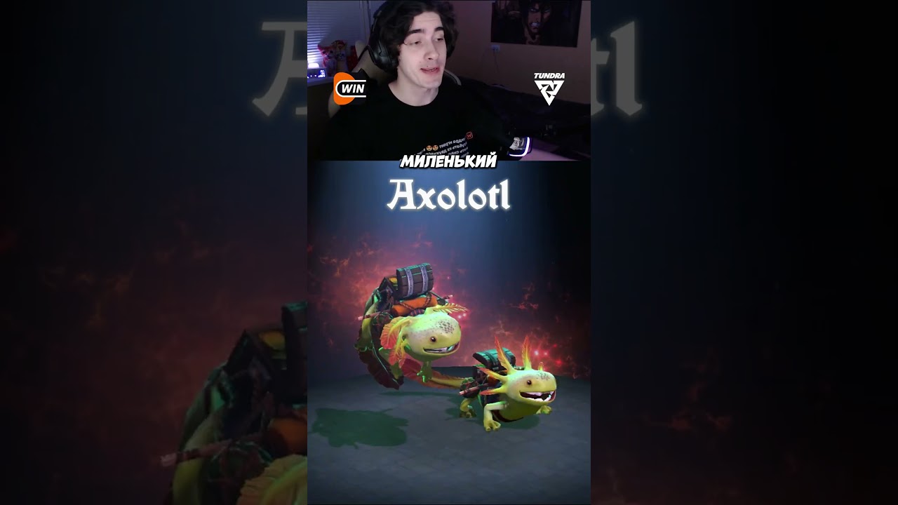 ТОП 5 Красивых и недорогих КУРЬЕРОВ! 