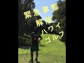 生が大好きです‼️やばっっ💦💦💦イノシシ⁉️⁉️⁉️ 🏖ハワイ🏖【エバビーチ・ゴルフクラブ】