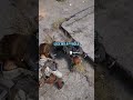 why i turned off voice comms in arc raiders