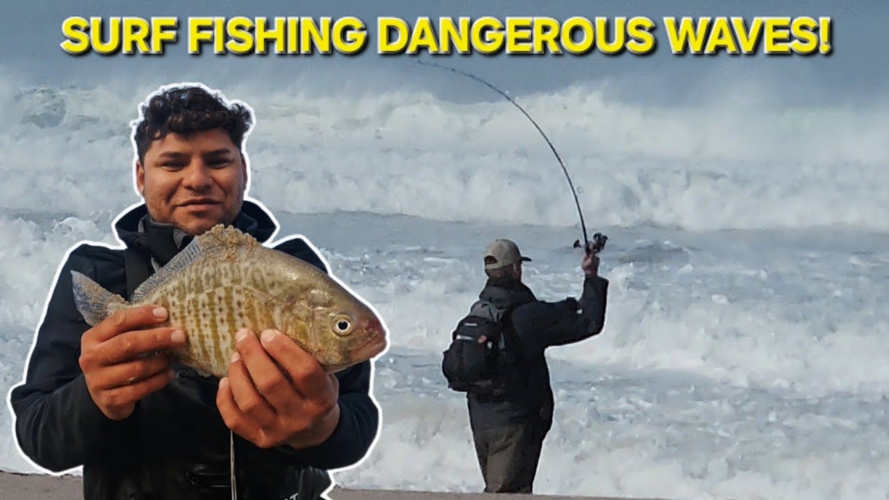 Ловля рыбы с берега. ОПАСНО ВЫСОКАЯ СИЛА ВОЛН У ПОБЕРЕЖЬЯ КАЛИФОРНИИ. Ловите окуня на джерк-сардину!