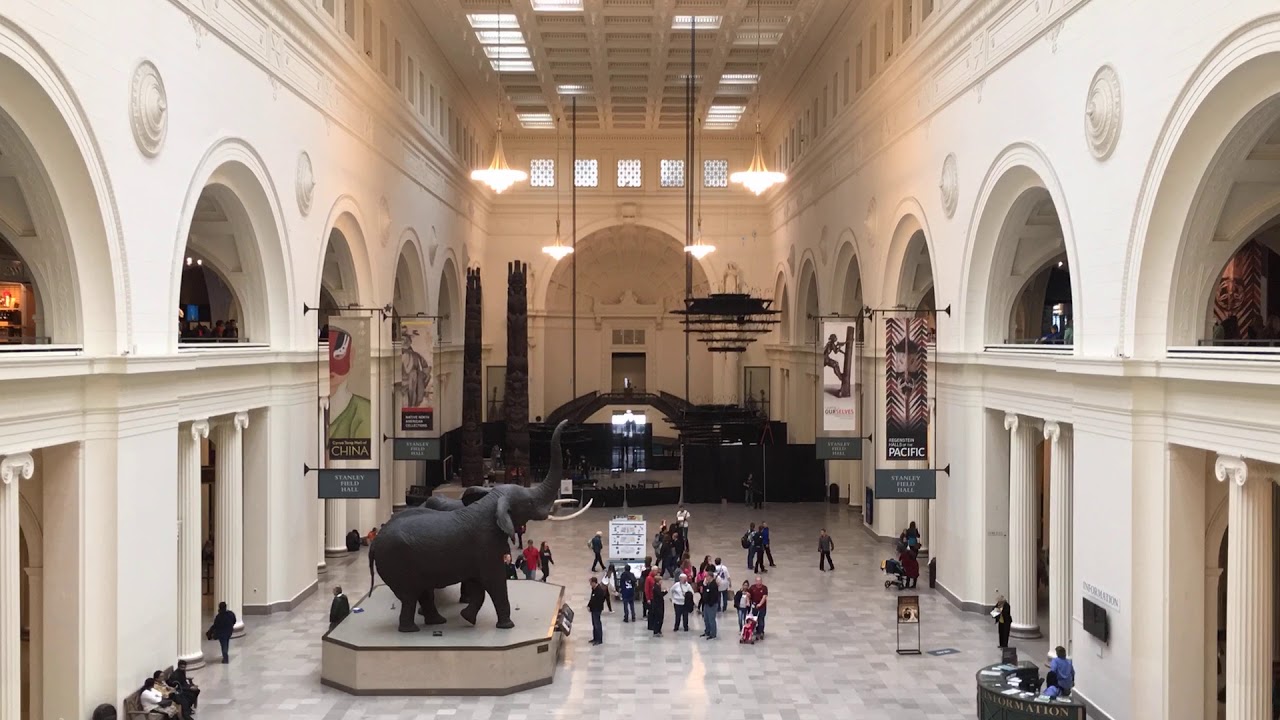 Chicago Field Museum 2018 YouTube