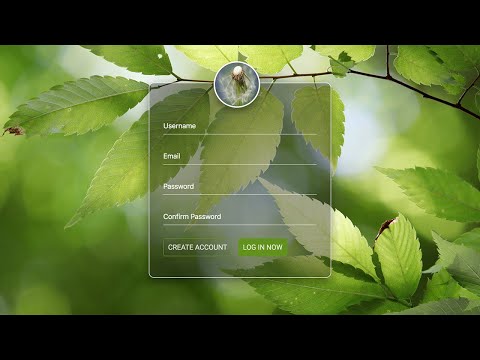 Awesome Transparent Registration Form Using HTML & CSS