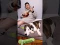 Twinkle Twinkle Little Star - Nursery Rhyme