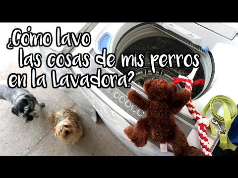 ¿Cómo lavar cosas del perro en la lavadora?