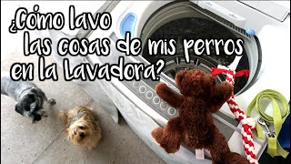 ¿Cómo lavar cosas del perro en la lavadora? by AnaCecy 3 years ago 3 minutes, 58 seconds 56,672 views