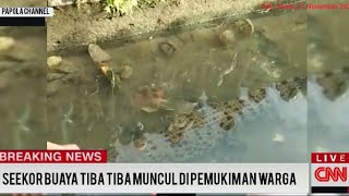 Seekor Buaya Datang Menemui Warga