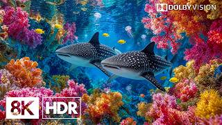Rare Deep Sea Creatures You’ve Never Seen in 8K HDR | Dolby Vision™